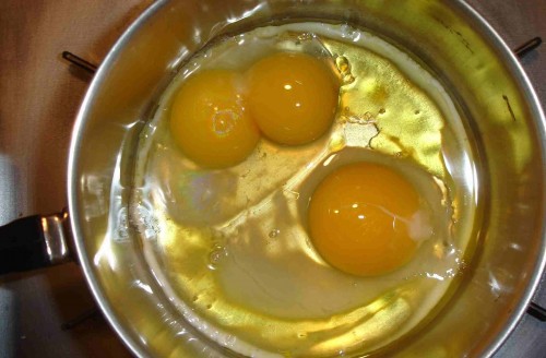 Twin-egg-2