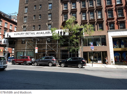 Haunting Photos of Shuttered Stores on Madison Avenue Wolf Street