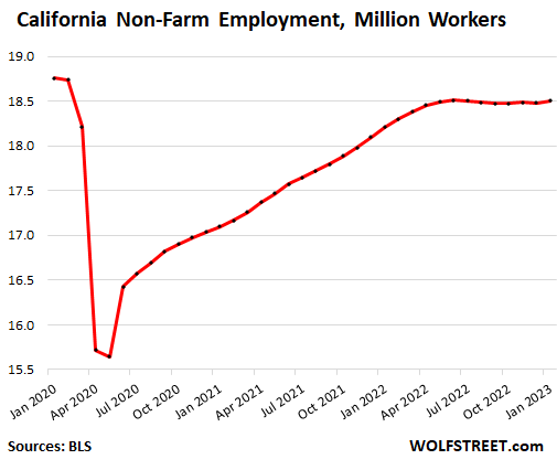 Retailers are hoarding labor even as tech layoffs mount